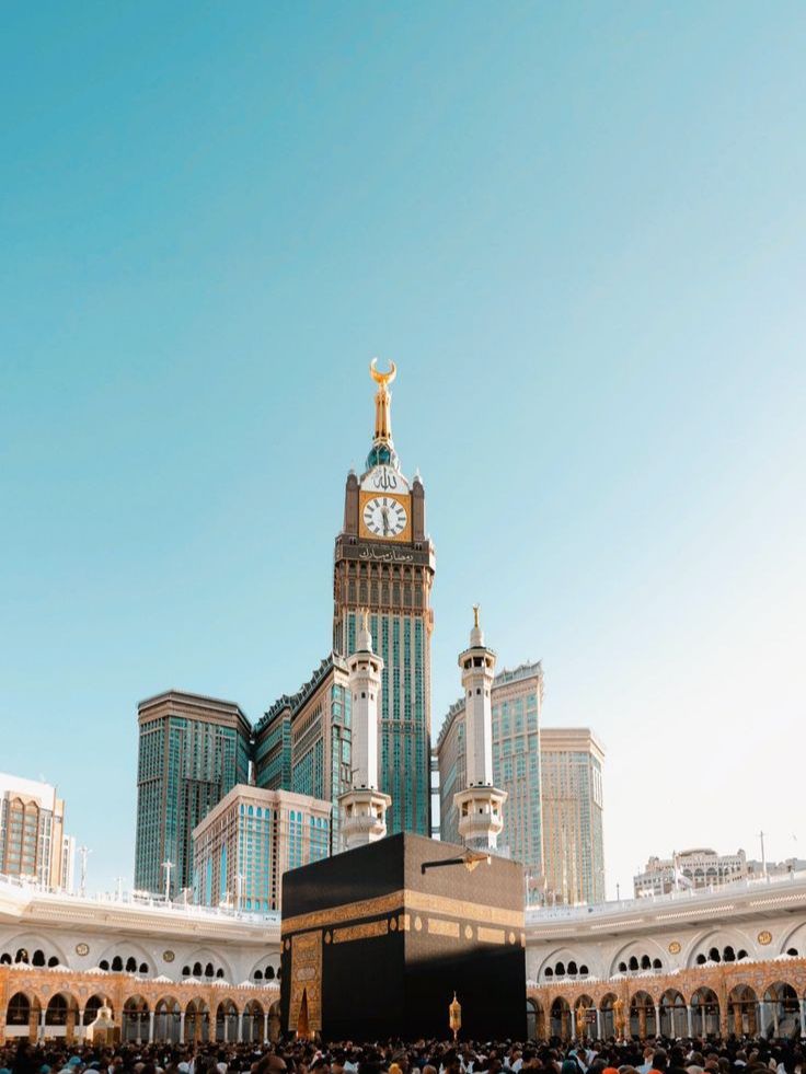 أسطول الحافلات